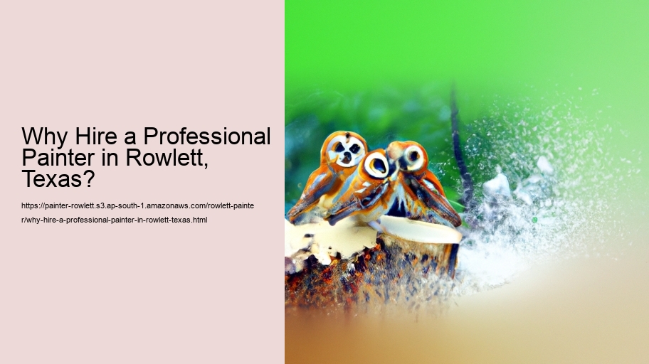 Why Hire a Professional Painter in Rowlett, Texas?